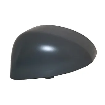 Revêtement, rétroviseur extérieur ABAKUS 0509C01