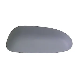 Revêtement, rétroviseur extérieur ABAKUS OEM 815234