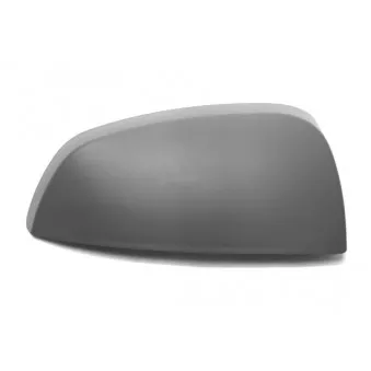 Revêtement, rétroviseur extérieur ABAKUS OEM 6428910