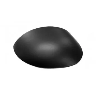 Revêtement, rétroviseur extérieur ABAKUS OEM 815243