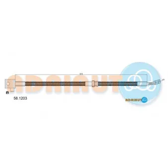 ADRIAUTO 58.1203 - Flexible de frein avant droit