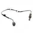 MEAT & DORIA 811063 - Sonde lambda