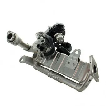 Module-EGR MEAT & DORIA OEM 8515891