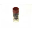 BOSCH 0 434 250 117 - Nez d'injecteur