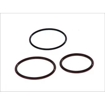 BOSCH F 00H 4S0 001 - Kit de réparation, unité pompe-injecteur