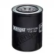 HENGST FILTER H521WK - Filtre à carburant