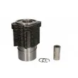 KOLBENSCHMIDT 93315960 - Kit de réparation, Piston/Chemise de cylindre