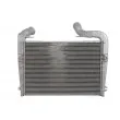 THERMOTEC DASC006TT - Intercooler, échangeur
