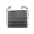 THERMOTEC DASC009TTR - Intercooler, échangeur