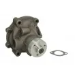 THERMOTEC WP-NH003 - Pompe à eau
