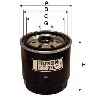 Filtre à carburant FILTRON PP 979/1