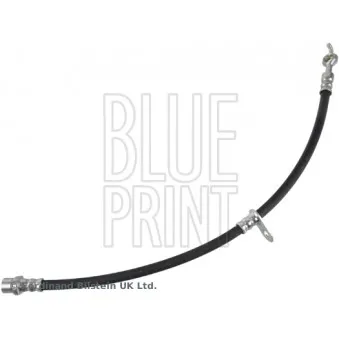 BLUE PRINT ADBP530003 - Flexible de frein avant droit
