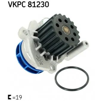 Pompe à eau SKF OEM CPW-VW-041