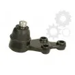 KOREA J10526OEM - Rotule de suspension