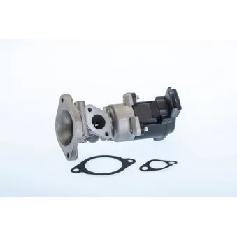 Vanne EGR WAHLER OEM LR009810