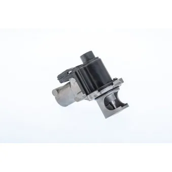 Vanne EGR WAHLER OEM 059131502G
