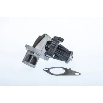 Vanne EGR WAHLER OEM 147105308R