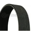 CONTITECH 10PK1342 - Courroie trapézoïdale à nervures