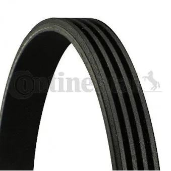 Courroie trapézoïdale à nervures CONTITECH [4PK560]