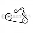 CONTITECH 6PK1020 EXTRA K1 - Jeu de courroies trapézoïdales à nervures