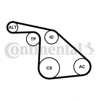 Jeu de courroies trapézoïdales à nervures CONTITECH 6PK1038K1 pour FIAT BRAVO 1.6 D Multijet - 90cv