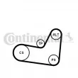 Jeu de courroies trapézoïdales à nervures CONTITECH [6PK1070K2]