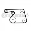 CONTITECH 6PK1318WP1 - Pompe à eau+Jeu de courroie trapézoïdale à nervures