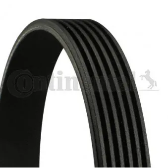 Courroie trapézoïdale à nervures CONTITECH 6PK1401 EXTRA