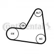 CONTITECH 6PK1680K1 - Jeu de courroies trapézoïdales à nervures