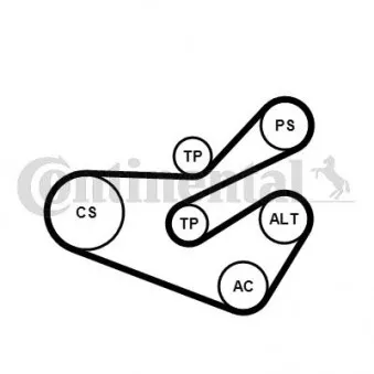 Jeu de courroies trapézoïdales à nervures CONTITECH 6PK1740K3