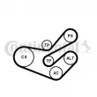 Jeu de courroies trapézoïdales à nervures CONTITECH [6PK1750K3]