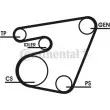 CONTITECH 6PK1767D1 - Jeu de courroies trapézoïdales à nervures