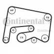 CONTITECH 6PK2155K1 - Jeu de courroies trapézoïdales à nervures
