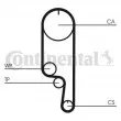 Pompe à eau + kit de courroie de distribution CONTITECH [CT1008WP2]