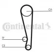 CONTITECH CT1024 - Courroie crantée