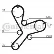 CONTITECH CT1152 - Courroie crantée