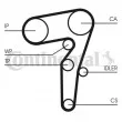 CONTITECH CT1155 - Courroie crantée