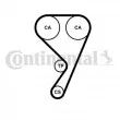 CONTITECH CT1189 - Courroie de distribution