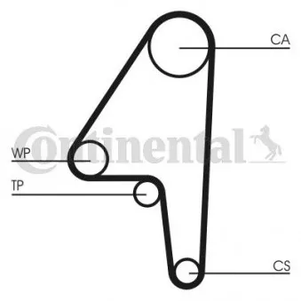 Courroie crantée CONTITECH OEM RF0312205