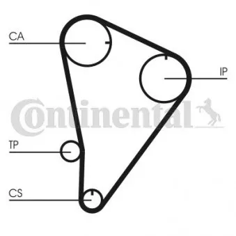 CONTITECH CT601 - Courroie crantée