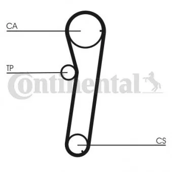 CONTITECH CT776 - Courroie crantée