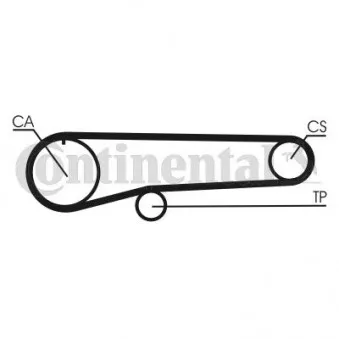 Courroie crantée CONTITECH CT779