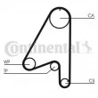 CONTITECH CT806 - Courroie crantée