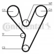 CONTITECH CT814 - Courroie crantée