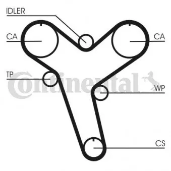 Courroie crantée CONTITECH CT894 pour TOYOTA DYNA 2.4 D - 83cv