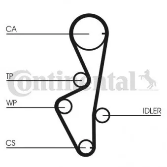 Courroie crantée CONTITECH CT916