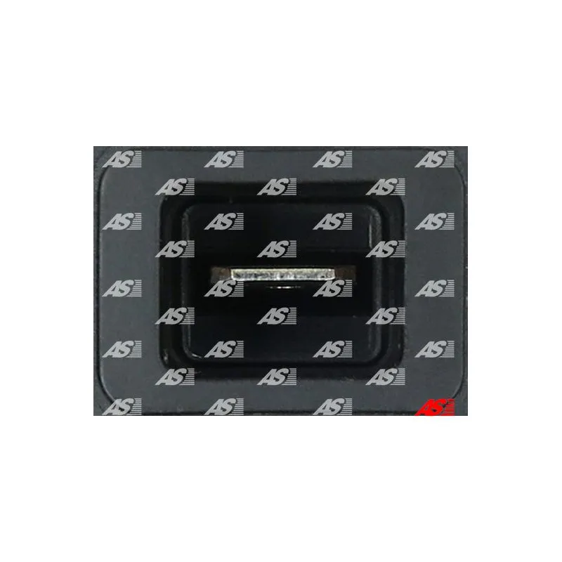 Régulateur d'alternateur AS-PL ARE0203(BOSCH) - Visuel 2
