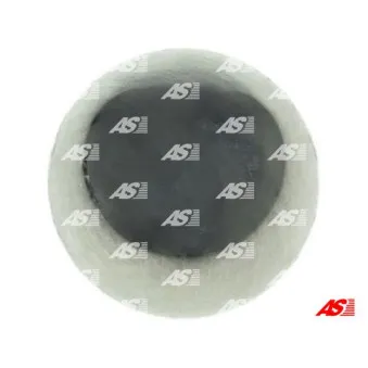 Kit de réparation, démarreur AS-PL SRS6058S