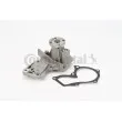 CONTITECH WP6080 - Pompe à eau