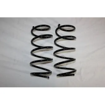 Ressort de suspension AUTOMEGA OEM 9196163